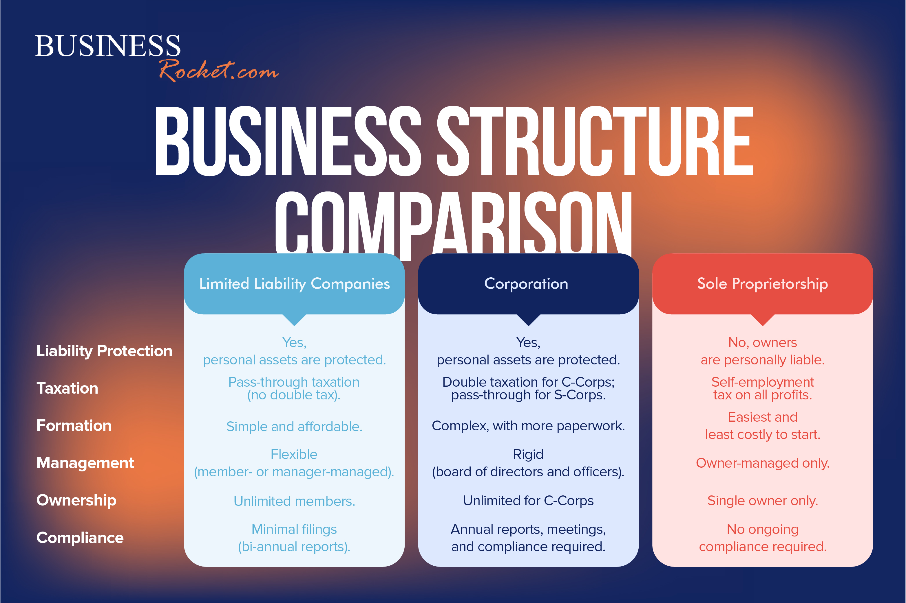 texas llc Business Structure comparsion