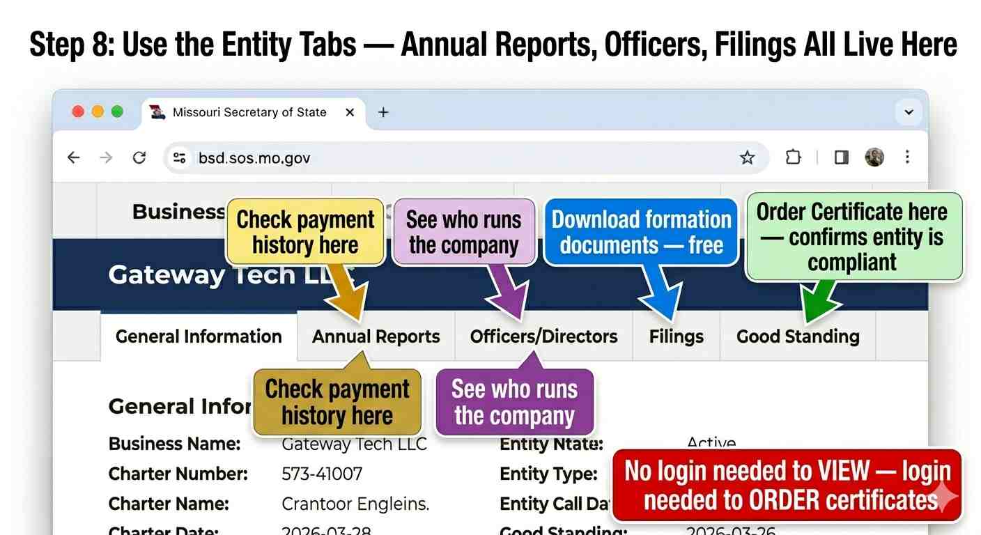 Business entity information tabs