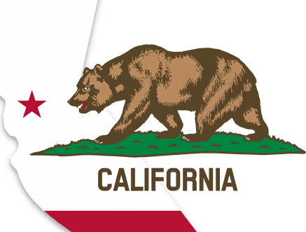 California state bear icon for LLC benefits